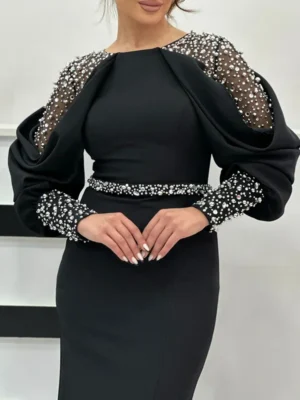 Black Embellished Statement Sleeve Dress