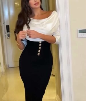 Classic Chic Two-Tone Dress